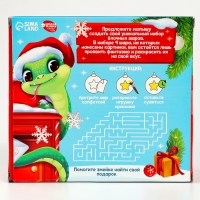 Ёлочные шары под раскраску на новый год &laquo;Праздник рядом&raquo;, d = 5 см, 4 шт, новогодний набор для творчества