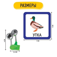 Развивающий набор &laquo;Звонкие бубенцы&raquo;, 10 карточек, 3+