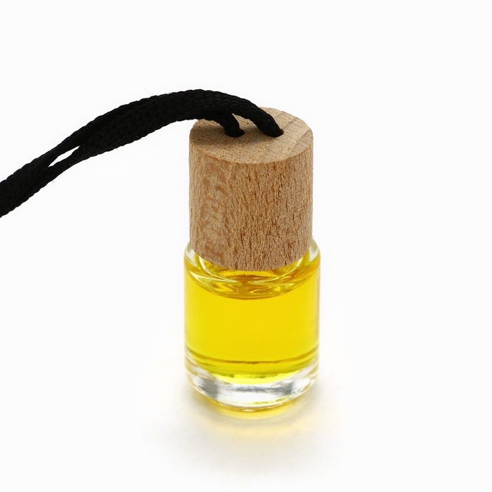 Ароматизаторы для машины новогодние &laquo;Запах волшебства и сказки&raquo;, ваниль, дыня, яблоко, 3 шт