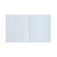 Тетрадь 96 листов в клетку Calligrata "Apricot Crush", обложка мелованный картон, глянцевая ламинация, блок офсет МИКС Тетрадь 96 листов в клетку Calligrata "Apricot Crush", обложка мелованный картон, глянцевая ламинация, блок офсет МИКС