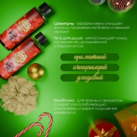Новогодний подарочный набор косметики &laquo;Зимняя сказка&raquo;, с ароматом розы и корицы. Красная серия