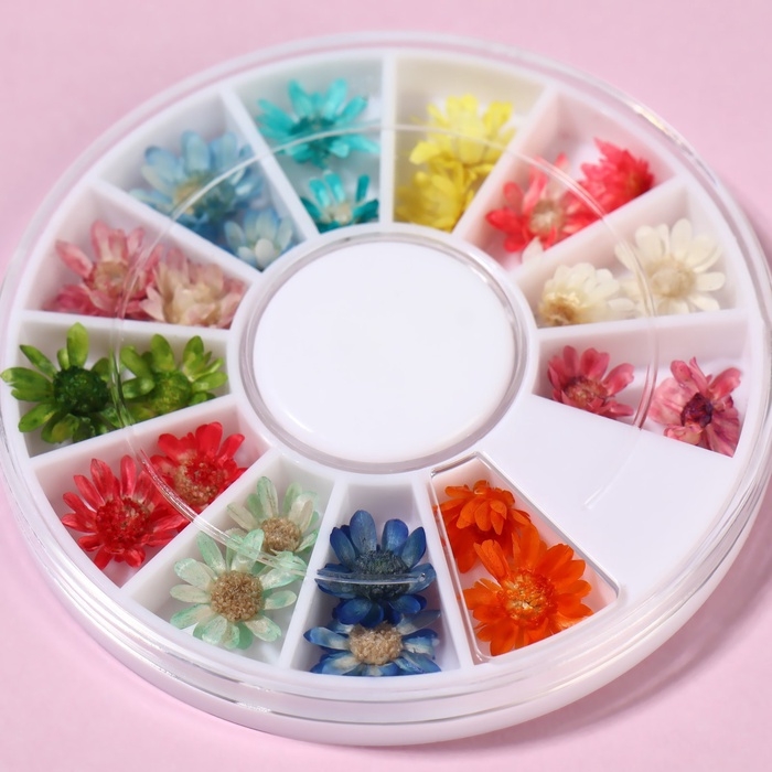 Сухоцветы для декора ногтей &laquo;Ромашки&raquo;, объёмные, 12 видов, в футляре, разноцветные