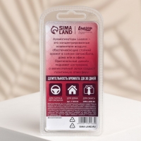 Ароматизатор подвесной &laquo;Вкус лета&raquo;, аромат: лесные ягоды, 5 мл