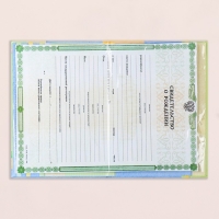 Свидетельство о рождении "Месяц" тиснение, зеленый бант, А5