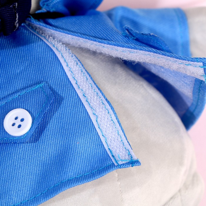 Мягкая игрушка &laquo;Медвежонок Лаппи - полицейский&raquo;, 22 см