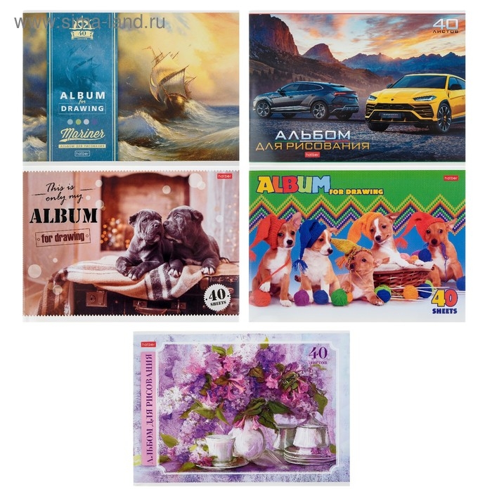 Альбом для рисования А4, 40 листов, на скрепке, "Ассорти", обложка мелованный картон, блок 100 г/м&sup2;, МИКС