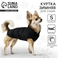 Одежда для собак. Куртка зимняя &laquo;Тёплая зима&raquo;, чёрная, размер S