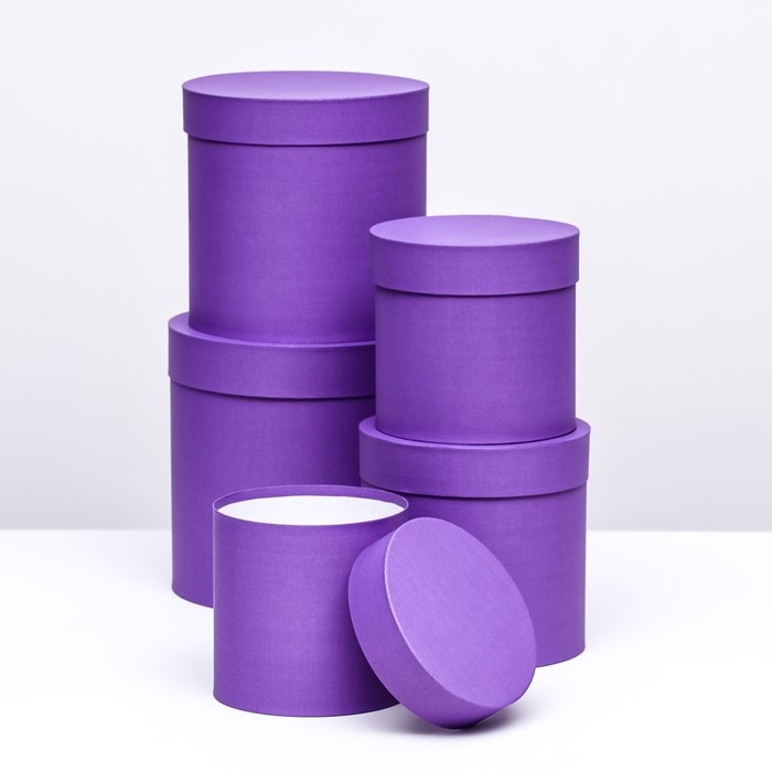 Набор шляпных коробок 5в1, темная лаванда, 23 х 23 - 15 х 15 см Набор шляпных коробок 5в1, темная лаванда, 23 х 23 - 15 х 15 см