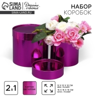 Набор коробок 2 в 1 круглые, упаковка подарочная, &laquo;Однотонный&raquo;, розовый металлик, 12 х 12, 15 х 15 см