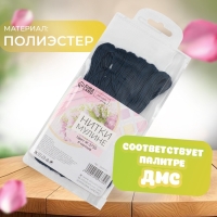 Набор ниток мулине №3750, 8 &plusmn; 1 м, 6 шт, цвет чёрно-синий