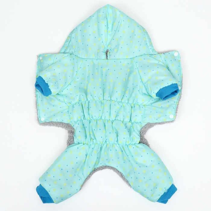 Комбинезон "нежный путь" на меховом подкладе, размер S  (ДС 25, ОШ 25, ОГ 35 см), голубой