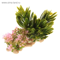 Растение искусственное аквариумное на подставке под камень, 14 х 11 х 7 см Растение искусственное аквариумное на подставке под камень, 14 х 11 х 7 см