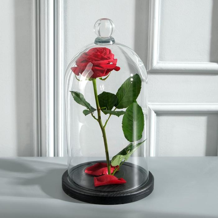 Стеклянный купол-клош с шариком на подставке Стеклянный купол-клош с шариком на подставке "Родрик", 29х15 см, стекло, черный
