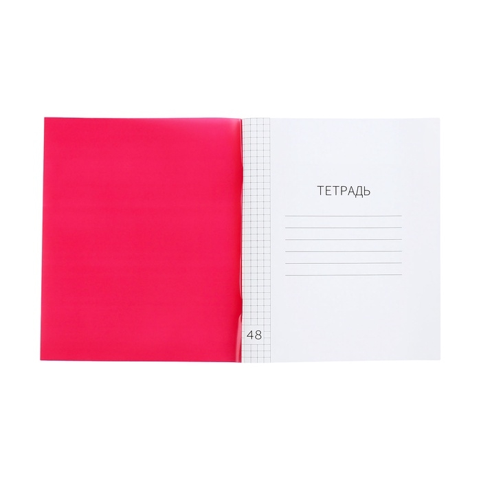 Тетрадь 48л кл КРАСНАЯ, пласт обл, , блок офсет Тетрадь 48л кл КРАСНАЯ, пласт обл, , блок офсет