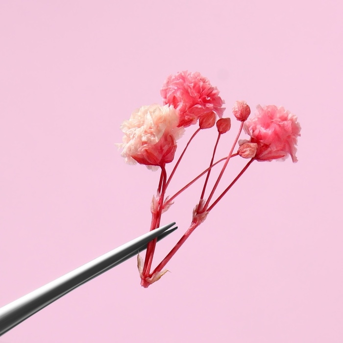 Сухоцветы для декора ногтей «Ассорти», объёмные, 12 видов, в футляре, разноцветные Сухоцветы для декора ногтей «Ассорти», объёмные, 12 видов, в футляре, разноцветные