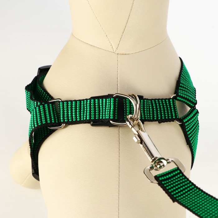 Комплект амуниции рельефный, поводок 120 х 2 см, ОГ 44-50 см, зелёно-чёрный