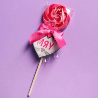 Леденец на палочке «Мяу», вкус: малина, 15 г. Леденец на палочке «Мяу», вкус: малина, 15 г.