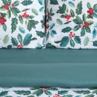 Постельное бельё &laquo;Этель&raquo; дуэт Winter berries 143х215 см 2 шт,220х240 см,70х70 см 2 шт, поплин