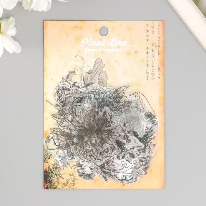Наклейки для творчества пластик PVC "Эскизы растений" набор 60 шт 10х14 см