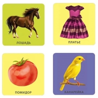 Обучающие карточки &laquo;Начинаю говорить. Мои первые слова и картинки&raquo;, 50 карточек