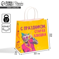 Пакет подарочный, упаковка, &laquo;Клюшка&raquo;, 22 х 22 х 11 см
