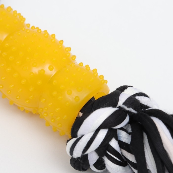 Игрушка канатная с Игрушка канатная с "леденцом", до 105 г, до 25 см, чёрно-жёлтая серия
