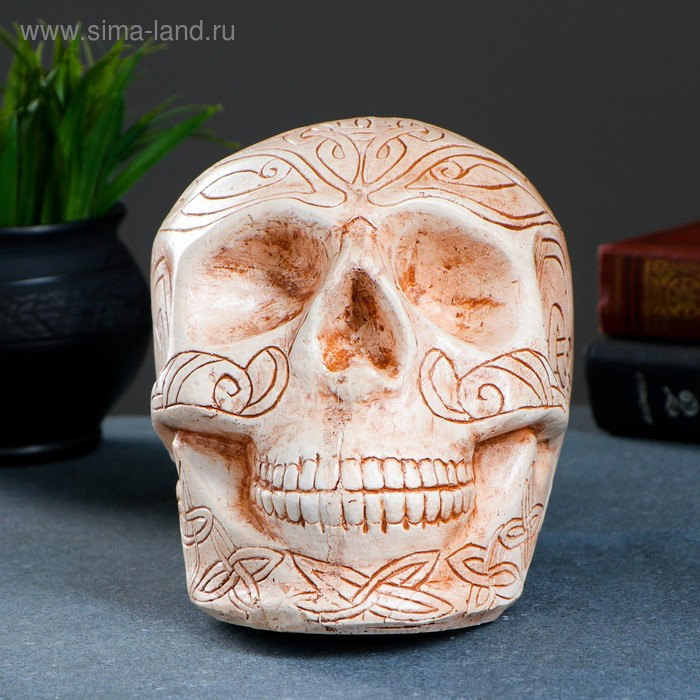 Копилка Копилка "Череп" бежевая, 17х13см