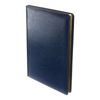 Ежедневник недатированный А4, 136 листов Sidney Nebraska, твёрдая обложка, искусственная кожа, золотой срез, ляссе, синий Ежедневник недатированный А4, 136 листов Sidney Nebraska, твёрдая обложка, искусственная кожа, золотой срез, ляссе, синий