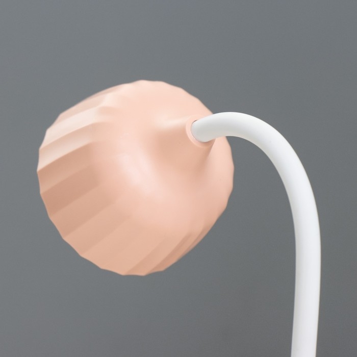 Настольная лампа "Дженер" LED 2Вт USB АКБ МИКС 9х9х22 см RISALUX