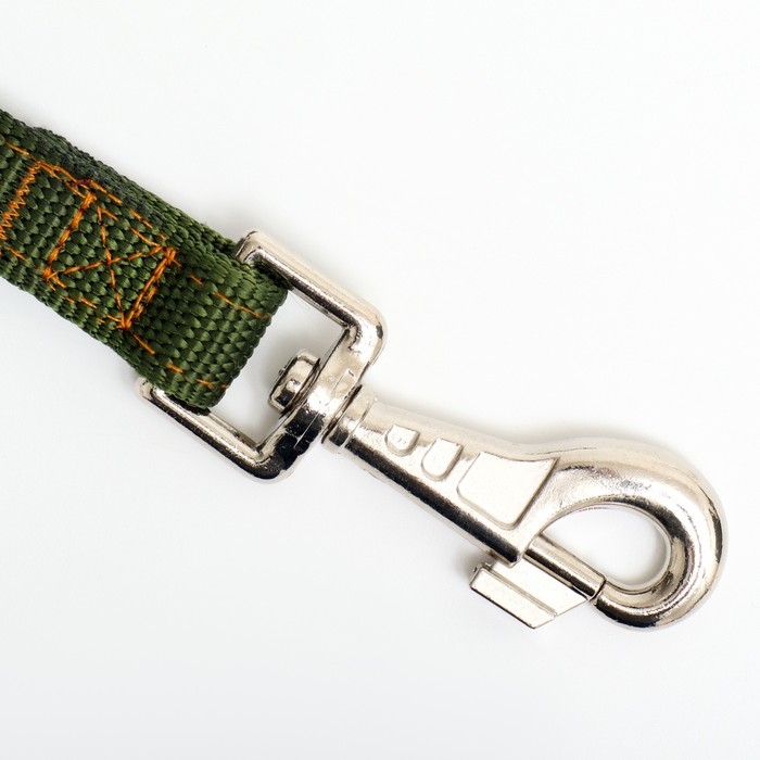 Поводок двухслойный с усиленным карабином, 2 м х 2 см, зелёный Поводок двухслойный с усиленным карабином, 2 м х 2 см, зелёный
