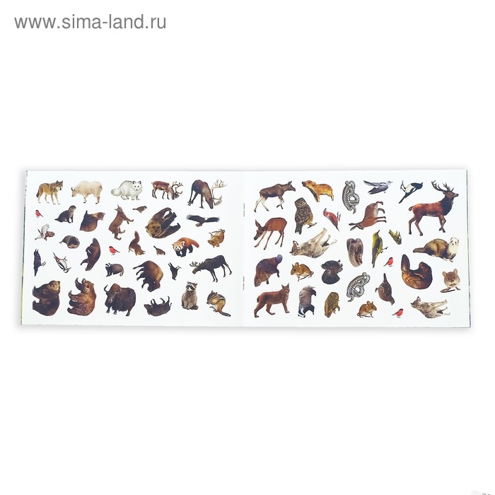 100 наклеек &laquo;Животные леса&raquo;, 12 стр.