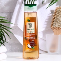 Мицеллярный шампунь для волос Чистая линия &laquo;Экспресс восстановление&raquo;, 400 мл