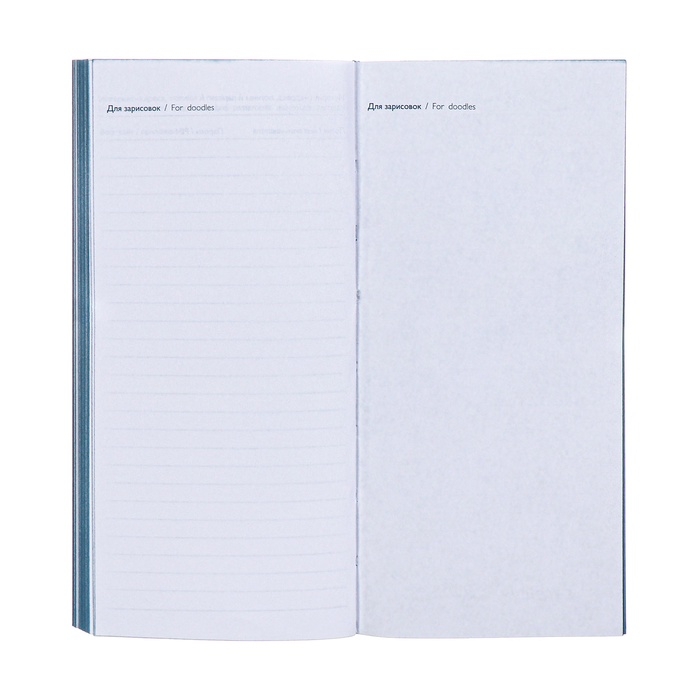 Еженедельник датированный 2025 года, 80х165 мм, 64 листа ESCALADA, мягкая обложка из искусственной кожи, блинтовое тиснение, блок 70 г/м&sup2;, голубой