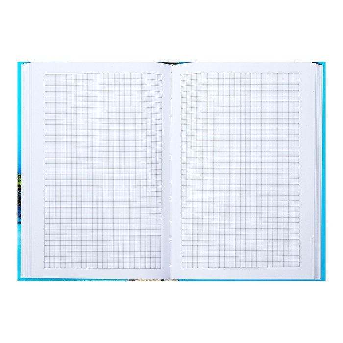 Бизнес-блокнот А5 160 листов в клетку "Остров мечты", твёрдая обложка, глянцевая ламинация, МИКС