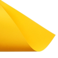 Бумага цветная двухсторонняя А4, 100 листов, 10 цветов, BRAUBERG Kids series, тонированная Бумага цветная двухсторонняя А4, 100 листов, 10 цветов, BRAUBERG Kids series, тонированная