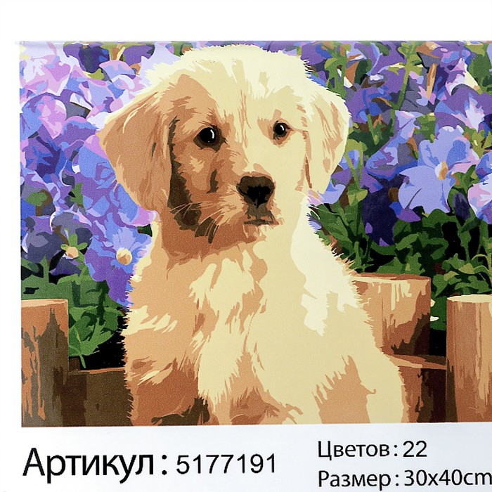 Картина по номерам на холсте с подрамником &laquo;Щенок лабрадора&raquo;, 40х30 см