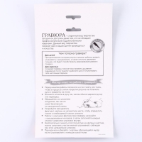 Гравюра &laquo;Лошадь&raquo; с металлическим эффектом серебра А5