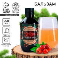 Бальзам с шиповником со вкусом клюквы &laquo;Успеха&raquo;, 250 мл