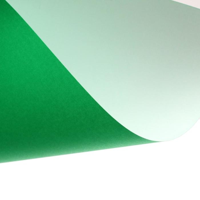 Набор для детского творчества А4, 8 листов цветная бумага + 8 листов цветной картон + 4 листа белый картон, Набор для детского творчества А4, 8 листов цветная бумага + 8 листов цветной картон + 4 листа белый картон, "Zoo" Лев