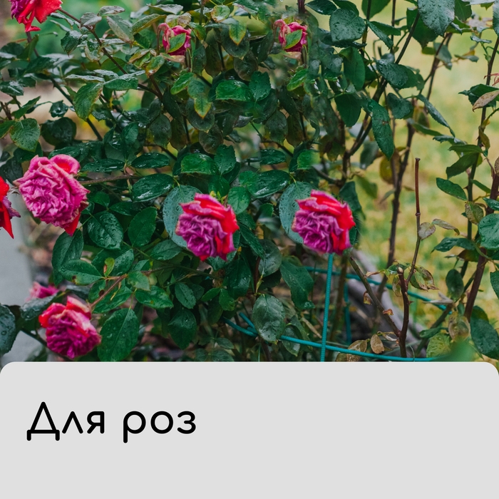 Чехол для растений, с петлями, 100 &times; 100 см, спанбонд с УФ-стабилизатором, плотность 60 г/м&sup2;