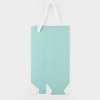 Пакет-переноска для цветов с пластиковым окном, «Для тебя», тиффани, 30 х 12 х 8 см Пакет-переноска для цветов с пластиковым окном, «Для тебя», тиффани, 30 х 12 х 8 см