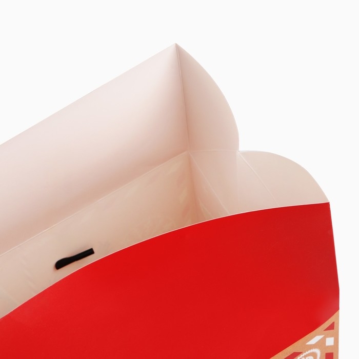 Пакет-коробка &laquo;Новогодняя почта&raquo;, 28 х 20 х 13 см, Новый год