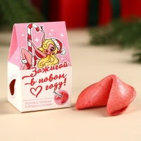 Печенье с предсказанием в коробке-домике &laquo;Зажигай в Новом году&raquo;, 1 шт