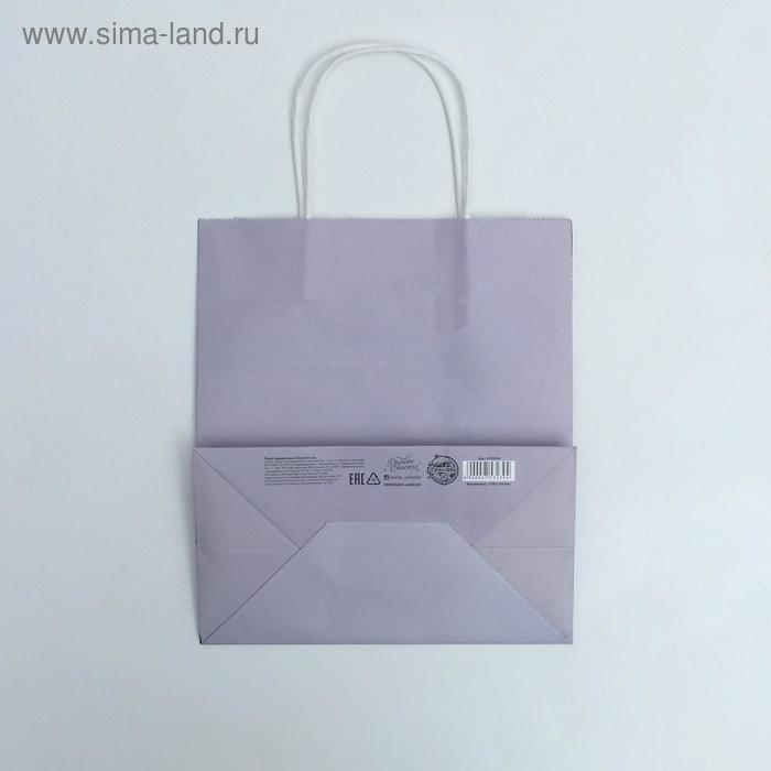 Пакет подарочный крафтовый, упаковка, «Крутой», 22 х 25 х 12 см Пакет подарочный крафтовый, упаковка, «Крутой», 22 х 25 х 12 см