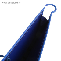 Папка для чертежей и рисунков А2, 650 х 480 х 50 мм, 0.9 мм, с ручками, пластиковая, молния сверху, Оникс, ПР 2, тёмно-синяя Папка для чертежей и рисунков А2, 650 х 480 х 50 мм, 0.9 мм, с ручками, пластиковая, молния сверху, Оникс, ПР 2, тёмно-синяя