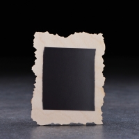 Магнит "Ящерка с короной", дерево, гипс, 7х9 см Магнит "Ящерка с короной", дерево, гипс, 7х9 см