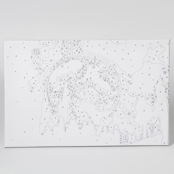 Картина по номерам с подрамником и гирляндой &laquo;Космос&raquo;, 20 х 30 см