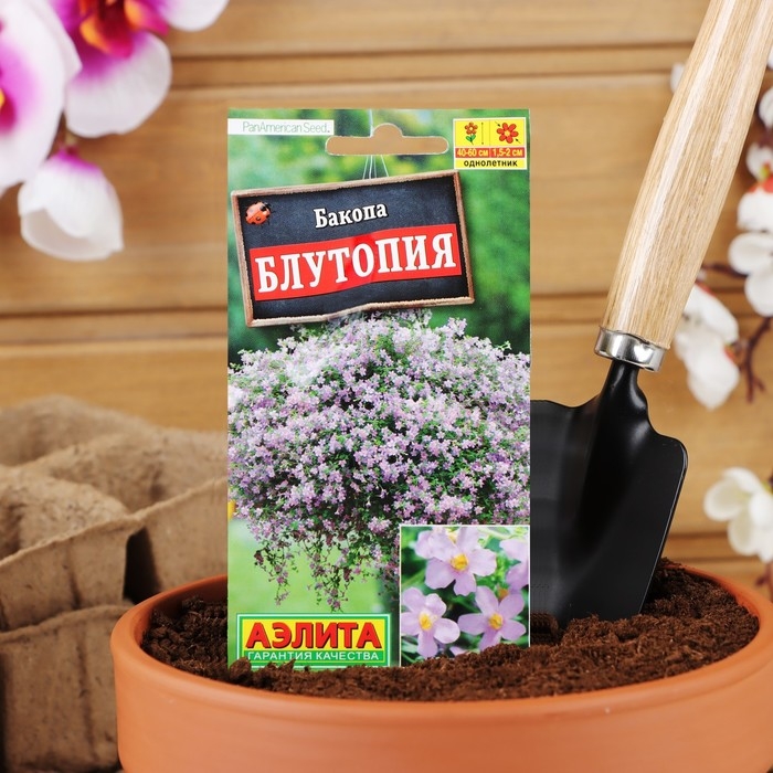 Семена Цветов Бакопа Блутопия --- Одн (драже в пробирке) Сел. PanAmerican Seed 3шт Ц/П Семена Цветов Бакопа Блутопия --- Одн (драже в пробирке) Сел. PanAmerican Seed 3шт Ц/П