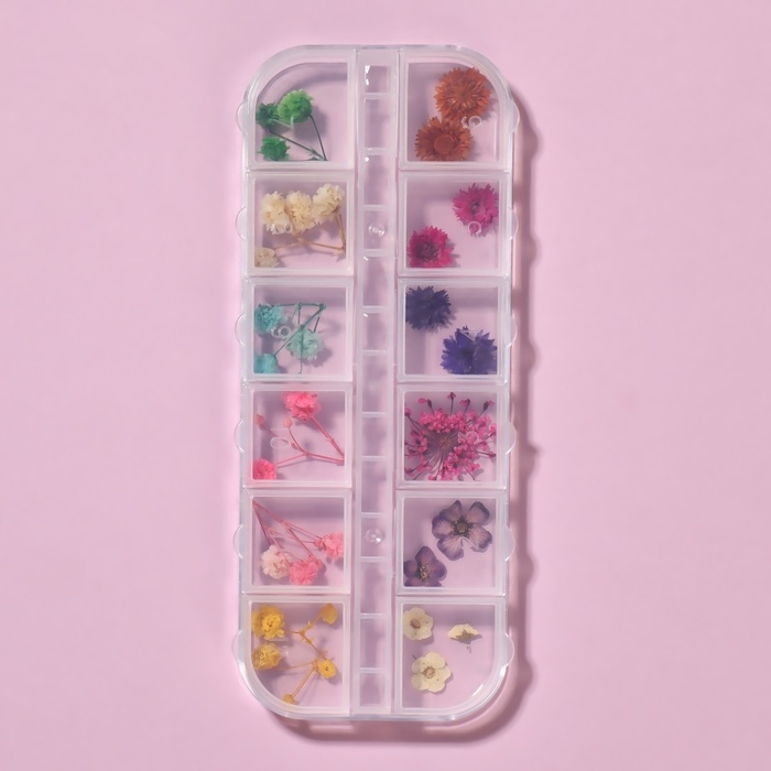 Сухоцветы для декора ногтей «Ассорти», объёмные, 12 видов, в футляре, разноцветные Сухоцветы для декора ногтей «Ассорти», объёмные, 12 видов, в футляре, разноцветные