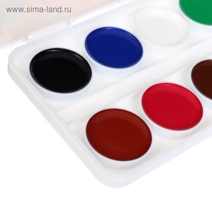 Акварель 12 цветов Мульти-Пульти Акварель 12 цветов Мульти-Пульти "Енот в Красном море", медовая, без кисти, пластик, европодвес